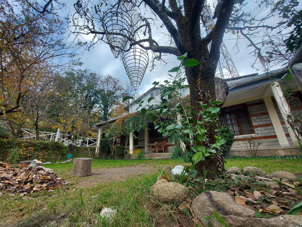Mars Monkey Hostel & Cafe Manali  Ngoại thất bức ảnh
