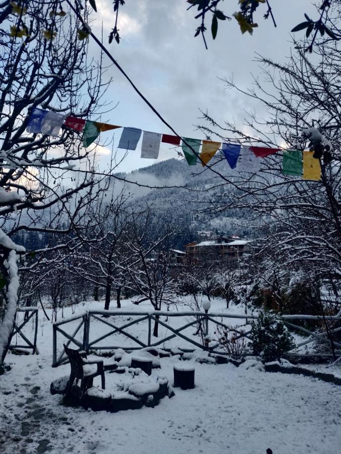 Mars Monkey Hostel & Cafe Manali  Ngoại thất bức ảnh