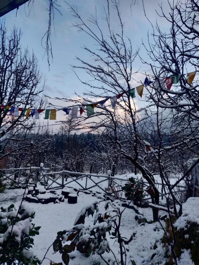 Mars Monkey Hostel & Cafe Manali  Ngoại thất bức ảnh