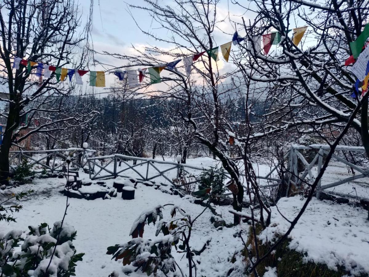 Mars Monkey Hostel & Cafe Manali  Ngoại thất bức ảnh